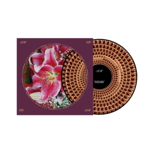 Richard Hawley - Coles Corner (Picture Vinyl) i gruppen VINYL / Kommende / Pop-Rock hos Bengans Skivbutik AB (5629030)
